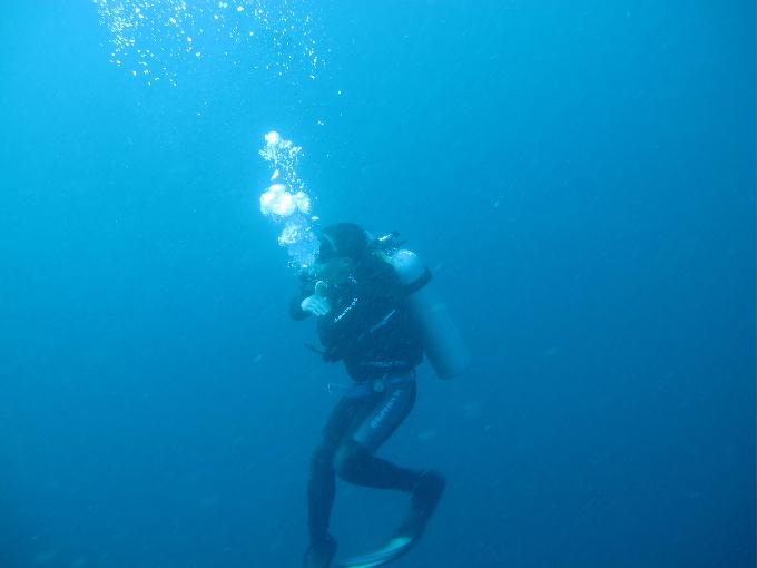 Bohol,PHILIPPINES - Diver Heaven,Balicasag