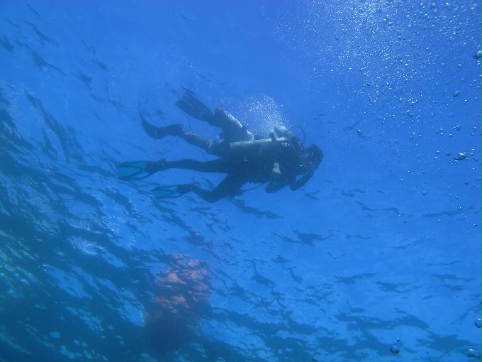 Bohol,PHILIPPINES - Diver Heaven,Balicasag