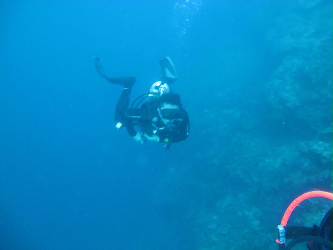 Bohol,PHILIPPINES - Diver Heaven,Balicasag