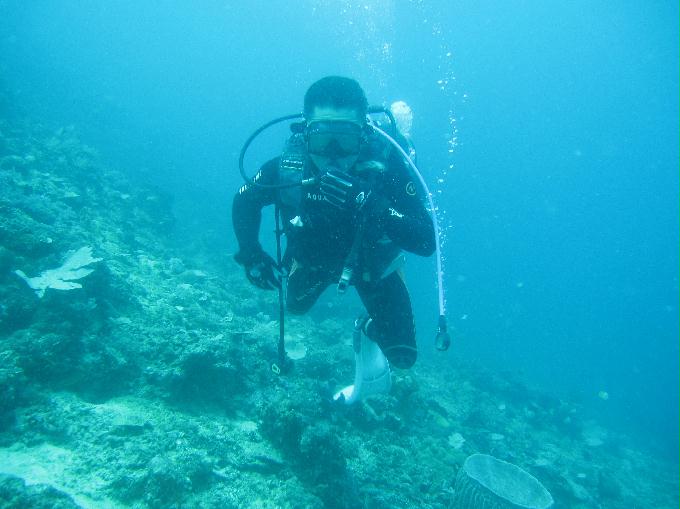 Anilao,PHILIPPINES - Coral Garden