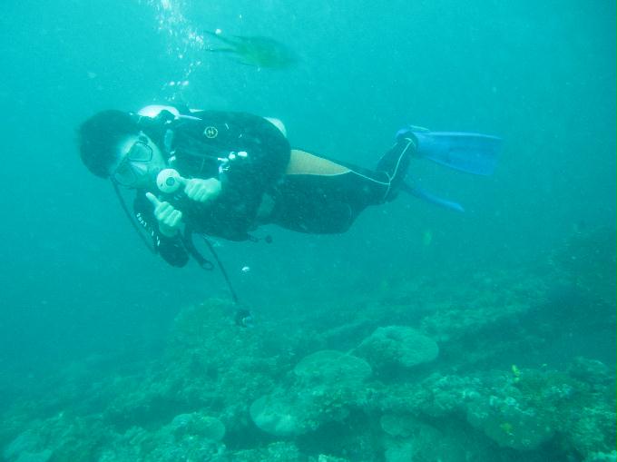 Anilao,PHILIPPINES - Erica