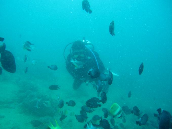 Anilao,PHILIPPINES - Erica