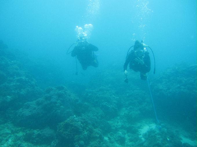 Anilao,PHILIPPINES - Coral Garden