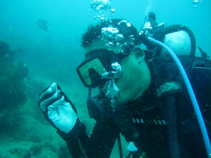 Anilao,PHILIPPINES - Twin Rock