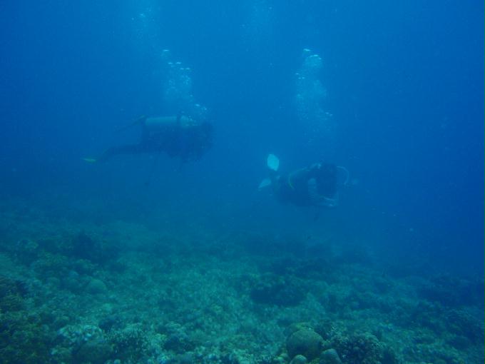 CEBU,PHILIPPINES - TAMBULI,MACTAN IS.