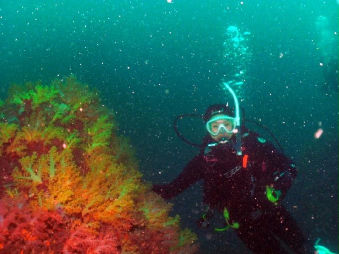 펀다이빙 - 제주도 서귀포 스쿠바라이프 - 섶섬 너알