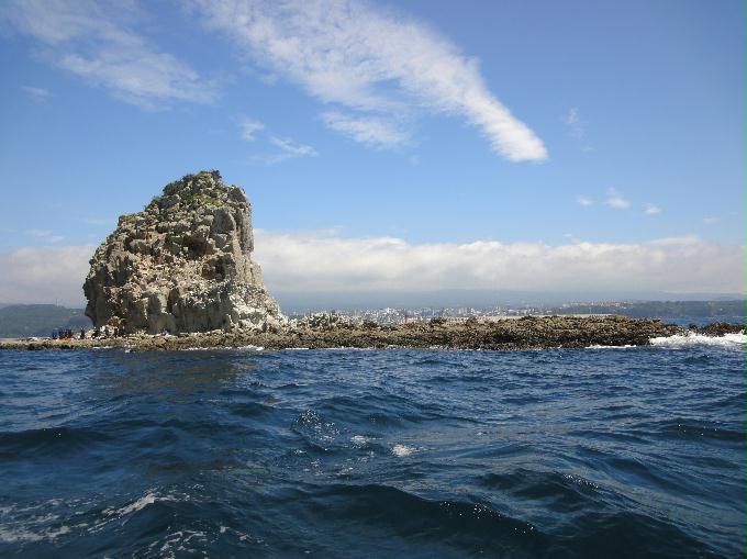 오픈워터 교육 - 제주도 서귀포 스쿠바라이프 - 문섬 한개창