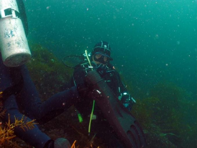 펀다이빙 - 제주도 서귀포 스쿠바라이프 - 섶섬 한개창