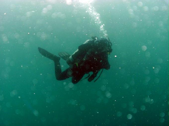 펀다이빙 - 제주도 서귀포 스쿠바라이프 - 섶섬 한개창