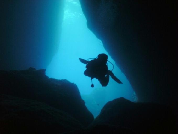 펀다이빙 - 사이판 다이브Y2K - 그루토(GROTTO)