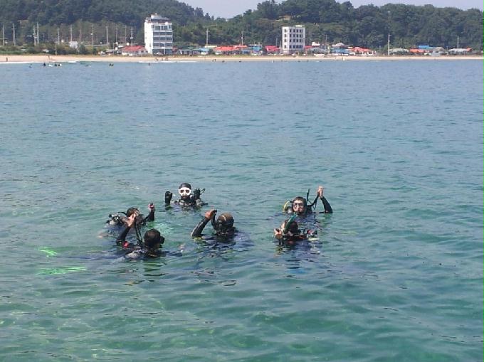 첫 오픈워터 교육, 비치 다이빙 - 동해 인구항 하슬라 리조트 - 비치다이빙