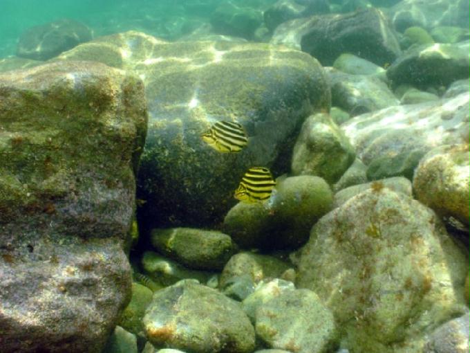 펀다이빙 - 경남 남해 하야루비 - 마안도