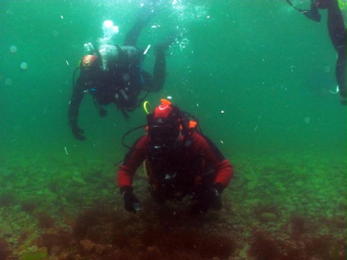 펀다이빙 - 경남 남해군 하야루비 - 마안도