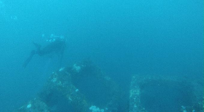Fun Diving - 울진 - 인공어초