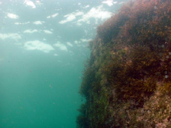 어드밴스드 교육 - 강원도 고성 LF문암리조트 - 비치