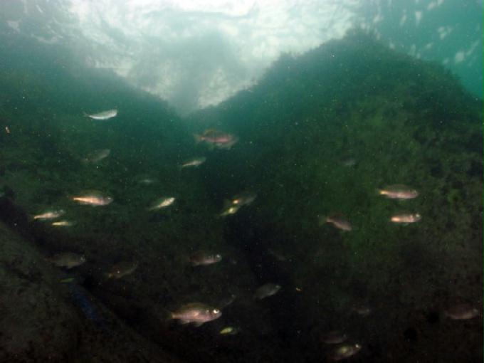 어드밴스드 교육 - 강원도 고성 LF문암리조트 - 비치