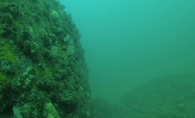 펀다이빙&지도그리기 - 강원도 강릉 바하마 다이브리조트 - 아가짬