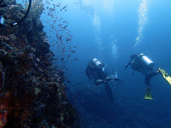 Fun Diving - 필리핀 민도르 사방 - Verde Island