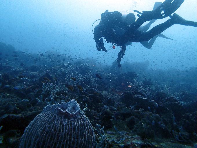 Fun Diving - 필리핀 민도르 사방 - Verde Island