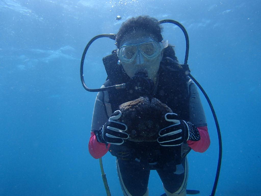 150도  - boracay - crocodile