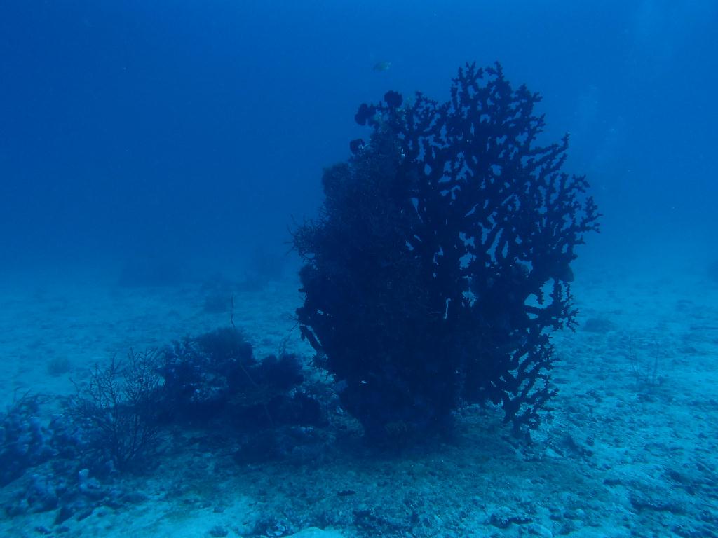 교육 0도 북쪽 - boracay - balinghai1