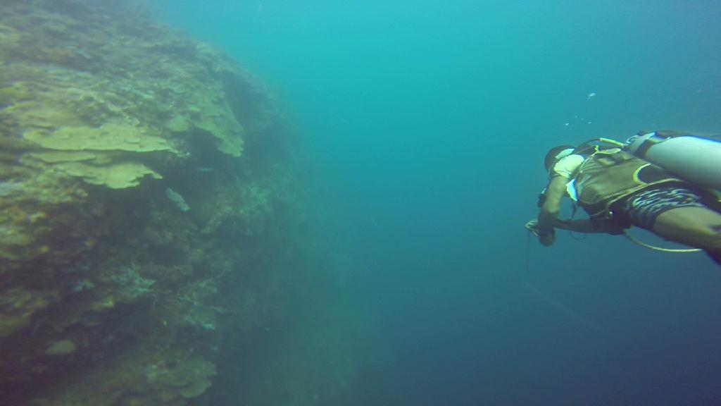 Mactan,Lapu-Lapu City,Cebu - The Kontiki Reef
