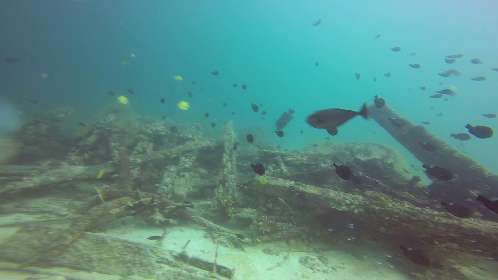 Mactan,Lapu-Lapu City,Cebu - Talima Marine Sanctuary, Olango Island