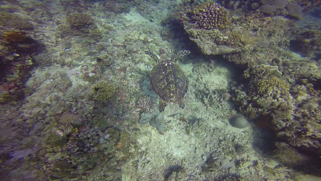 Puerto Galera,Mindoro Island