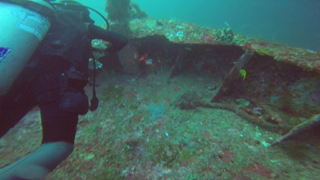 Puerto Galera,Mindoro Island - Alma Jane Wreck 