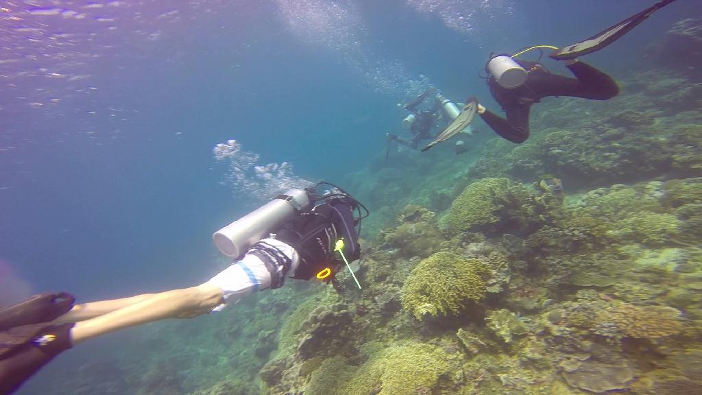 Puerto Galera,Mindoro Island