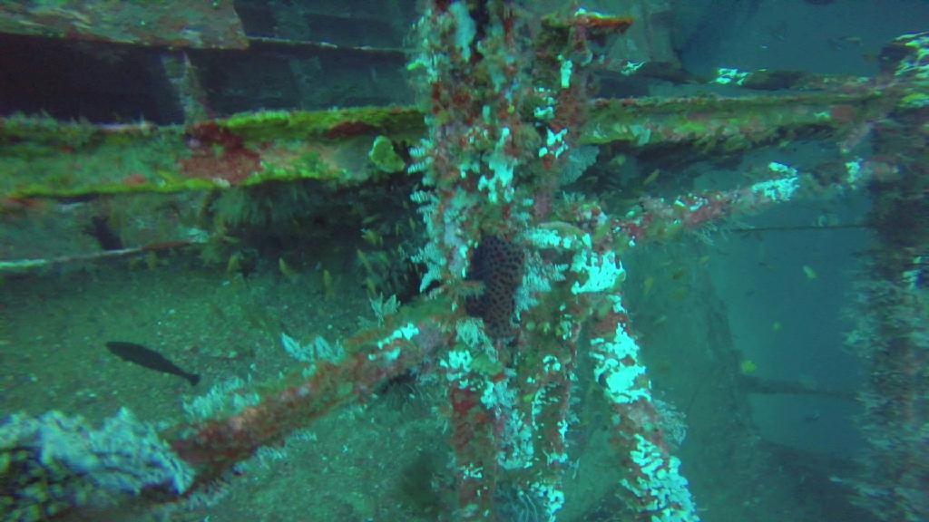 Puerto Galera,Mindoro Island - Alma Jane Wreck 