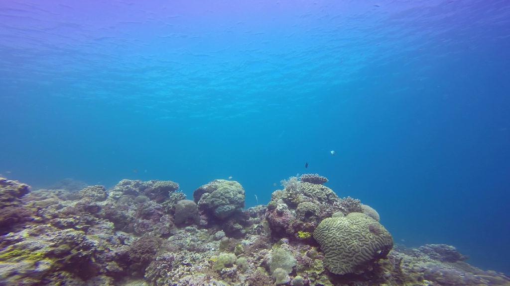 Mactan,Lapu-Lapu City,Cebu - The Kontiki Reef