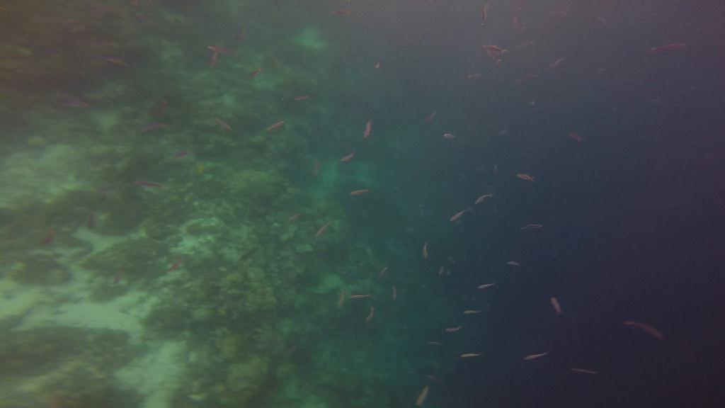 Mactan,Lapu-Lapu City,Cebu