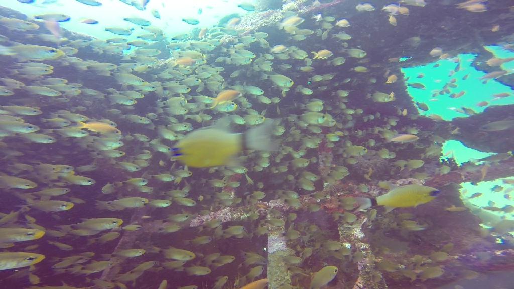mindoro - sabang wrek