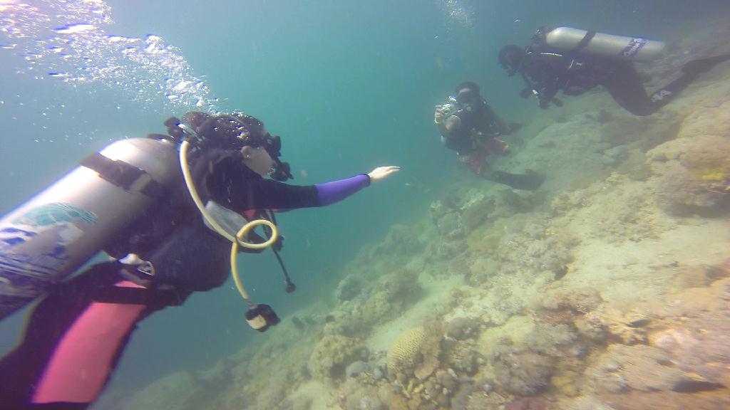 mindoro - monkey beach