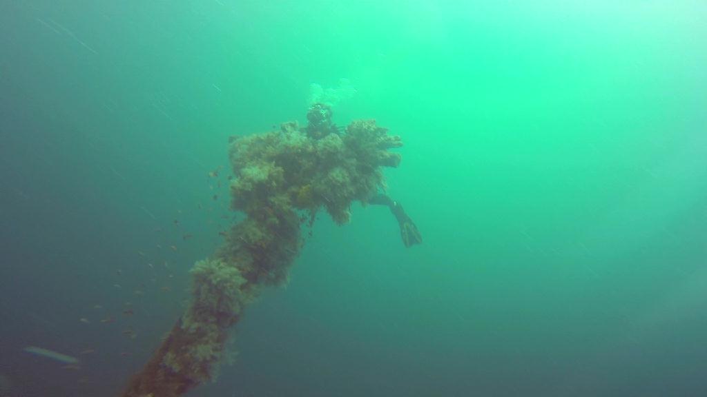 mindoro - alma jane
