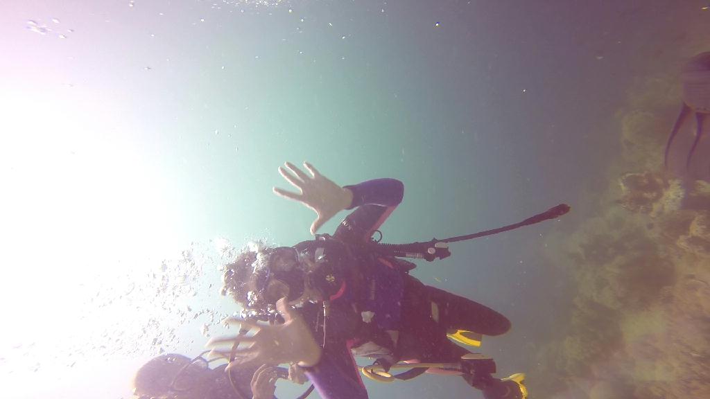 mindoro - monkey beach