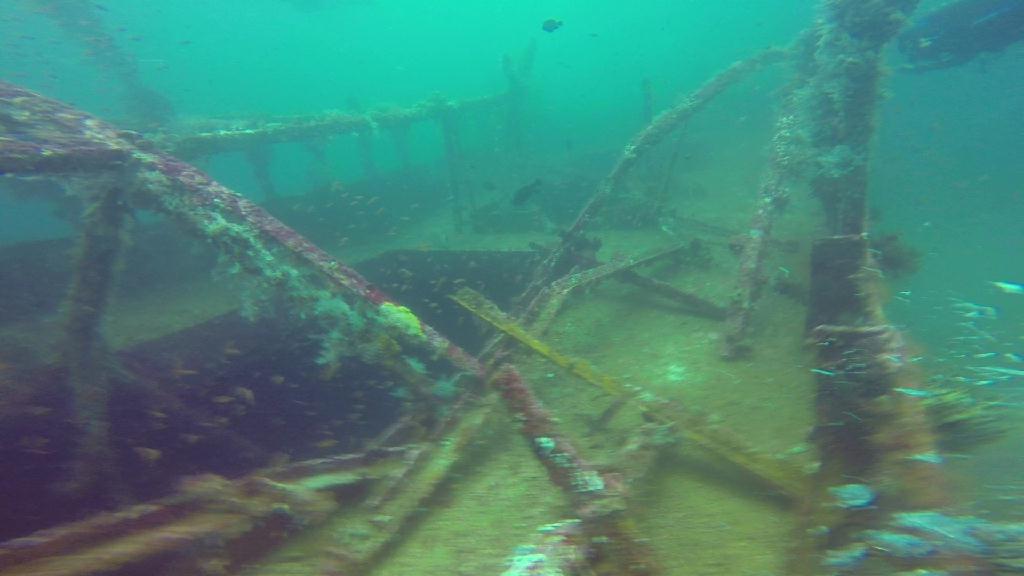 mindoro - alma jane