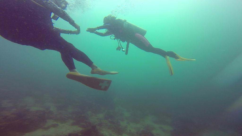 mindoro - monkey beach