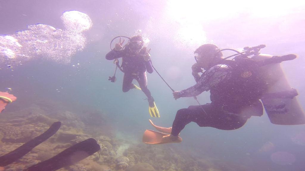 mindoro - monkey beach