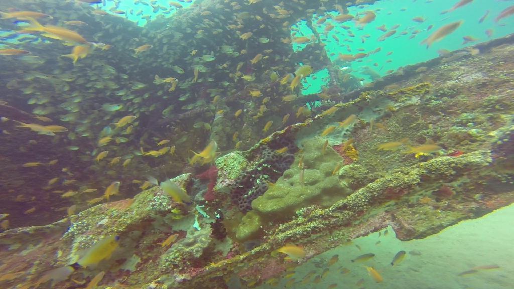 mindoro - sabang wrek