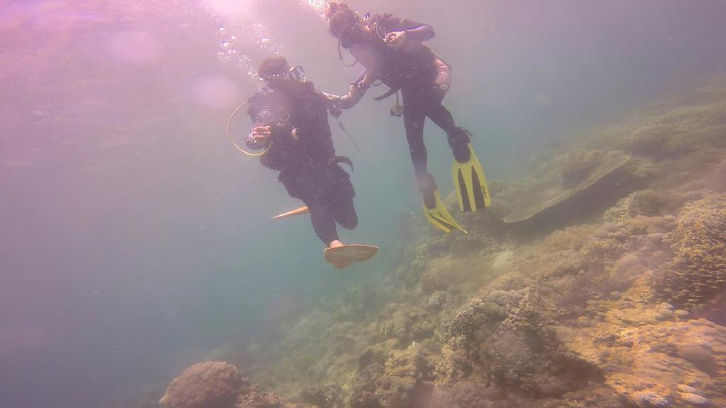 mindoro - monkey beach