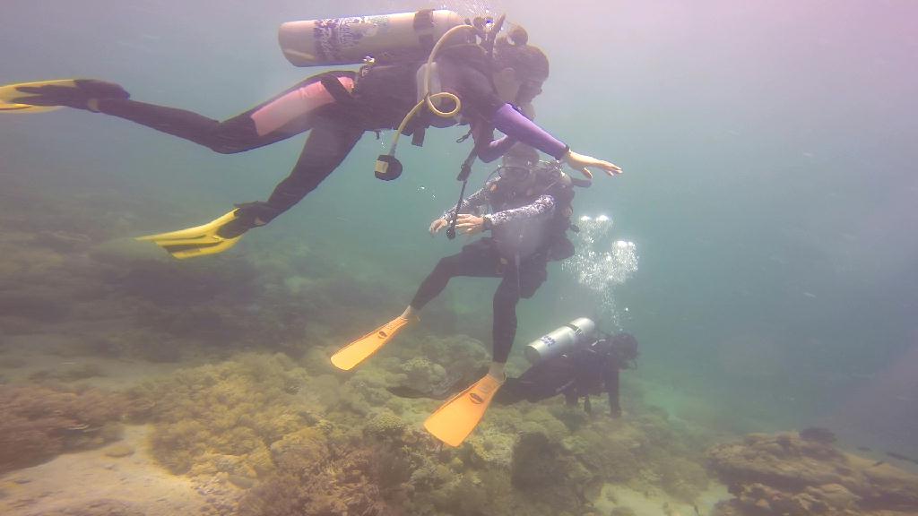 mindoro - monkey beach