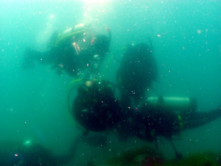 펀다이빙 - 강원도 강릉 경포다이브리조트 - 아마존