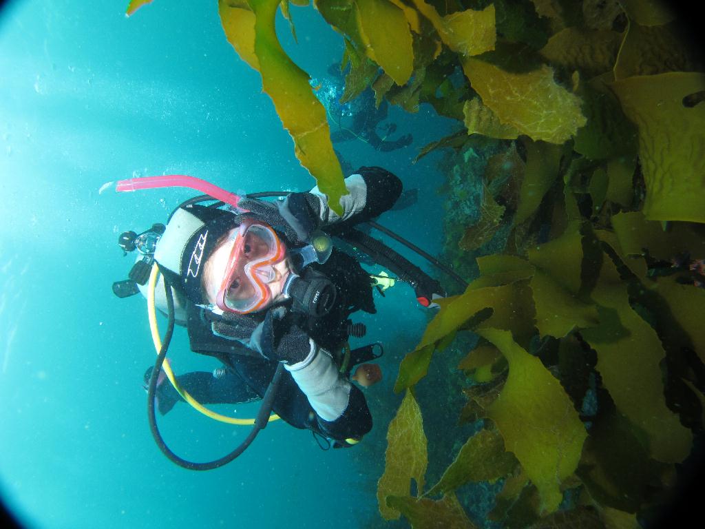 펀다이빙 - 제주도 굿다이버 - 문섬 새끼섬