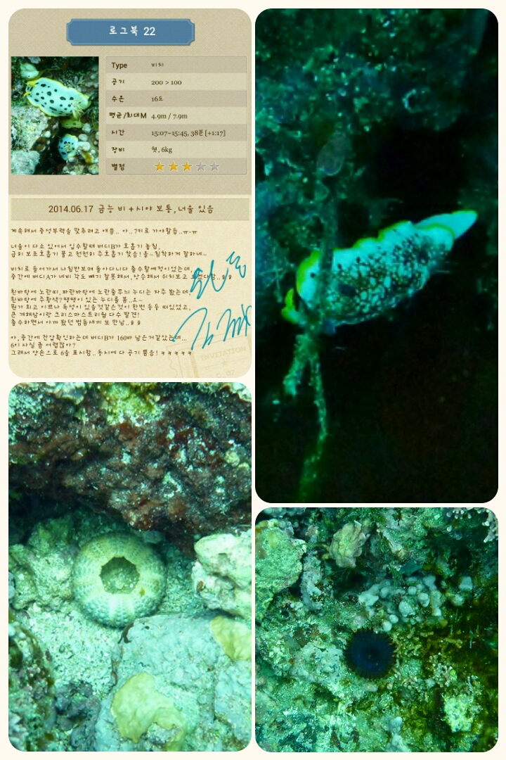 제주도 금능마린 수중산책 - 돌하루방주변