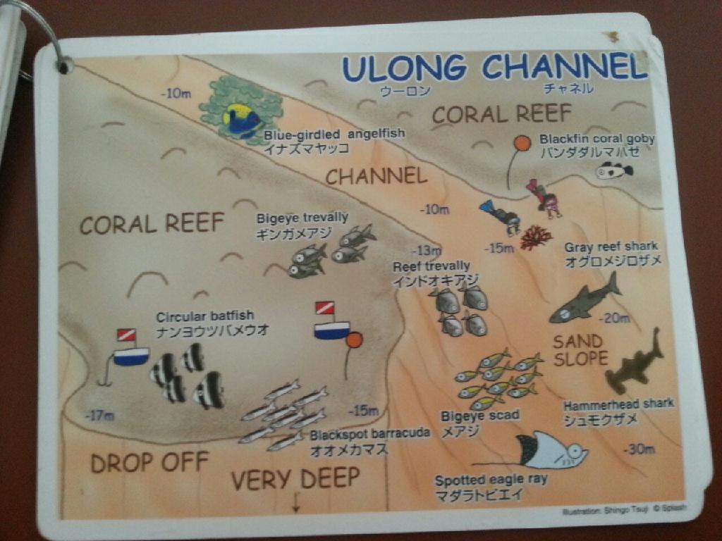 두번째 펀다이빙 - 팔라우 - urong channel