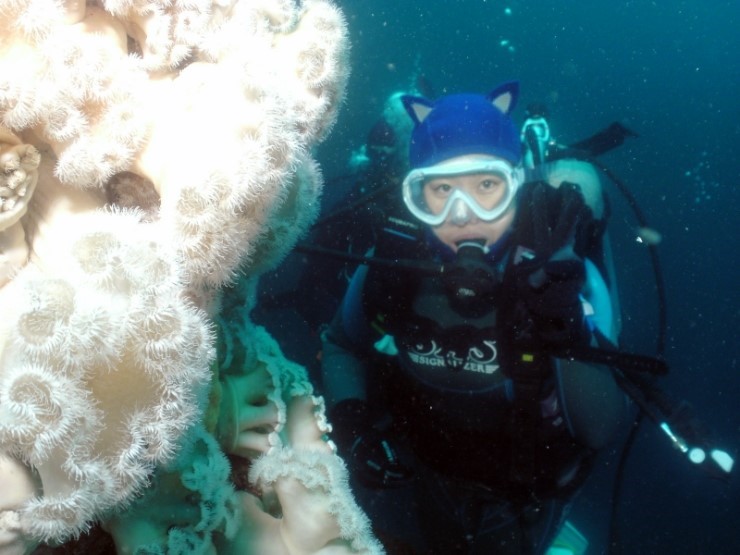 펀다이빙 (어드밴스_멀티레벨다이빙) - 고성 LF문암리조트 - 금강산