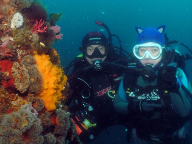 펀다이빙 (어드밴스_멀티레벨다이빙) - 고성 LF문암리조트 - 금강산