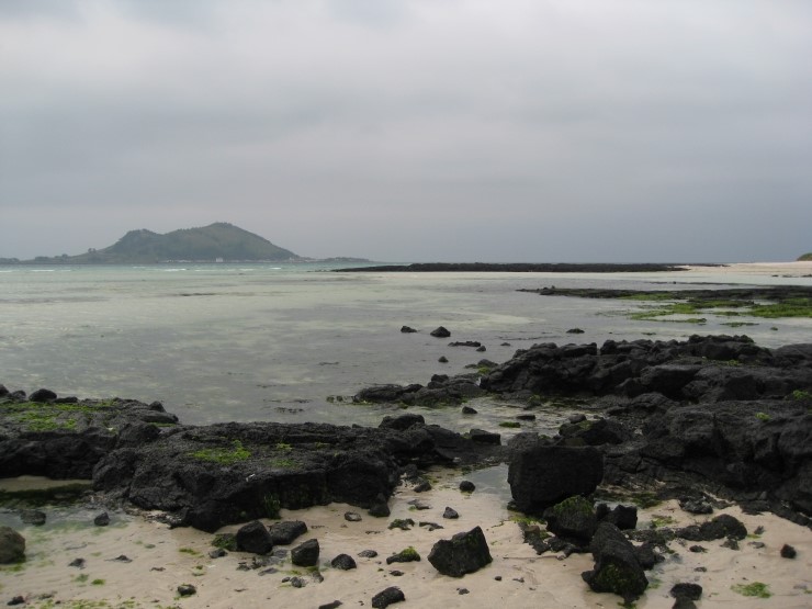 펀다이빙 - 제주 - 금능리